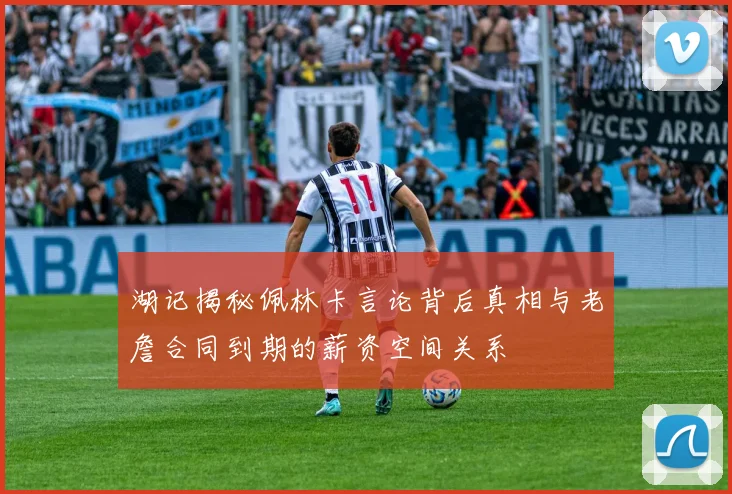 湖记揭秘佩林卡言论背后真相与老詹合同到期的薪资空间关系